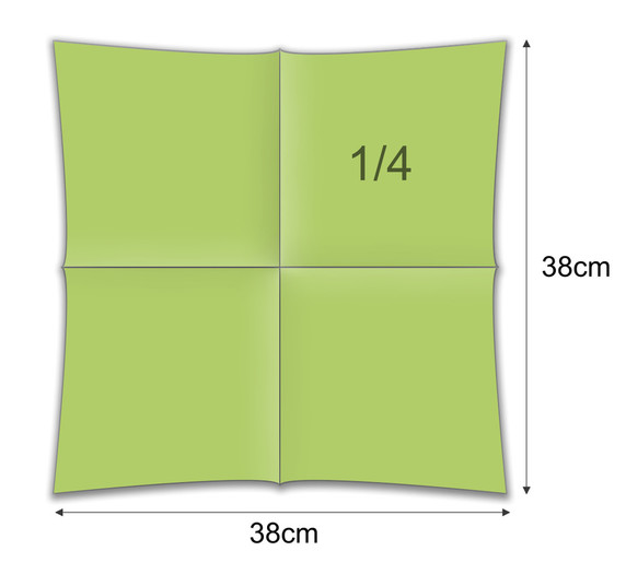 LIMETTE (113)
