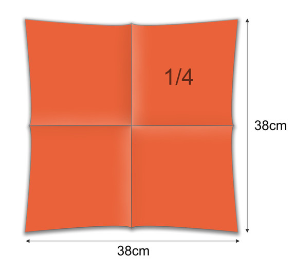 ORANGE (313)