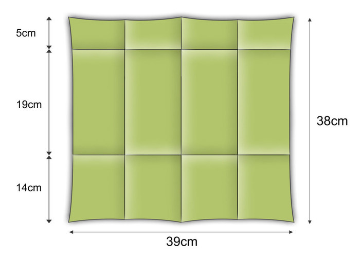 LIME (113)