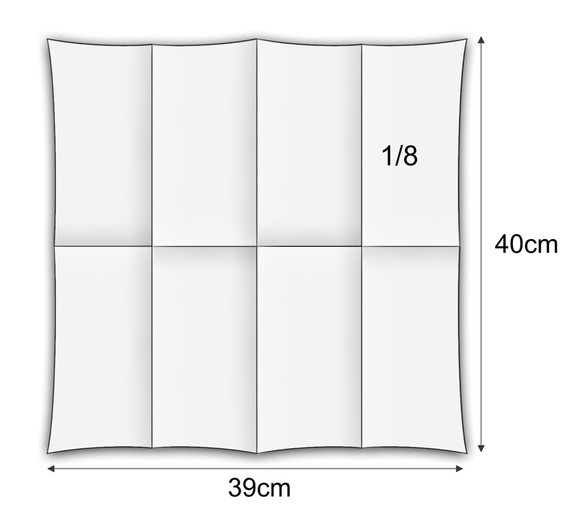 WHITE (001)
