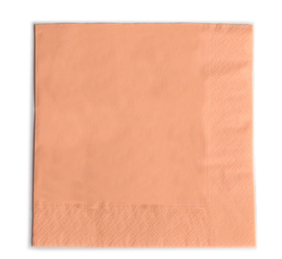 BRESKEV (102)