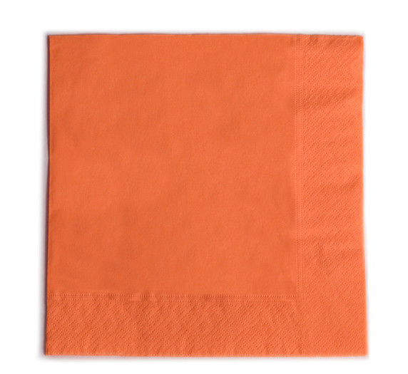 ORANŽNA (313)