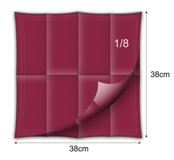 BURGUNDY (309)